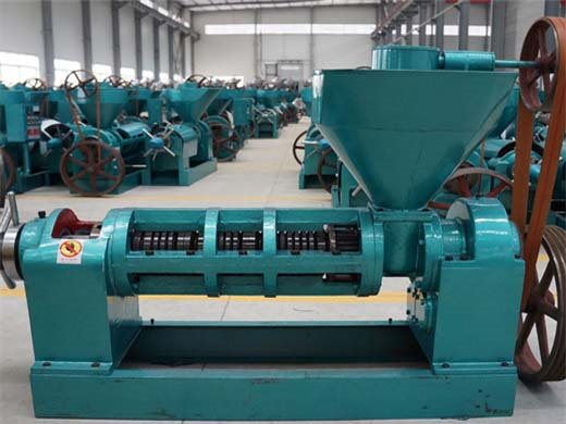 machine d'usine d'équipement d'extraction d'huile de sésame au burundi