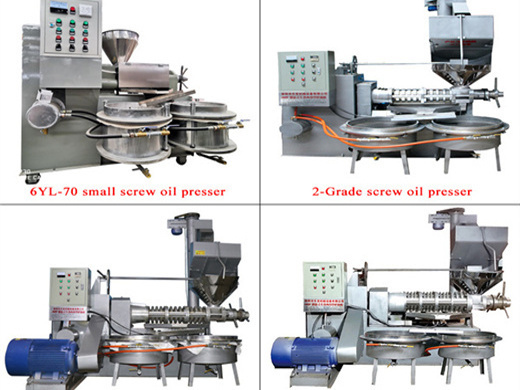 machine de fabrication d'huile de sésame en spirale en indonésie