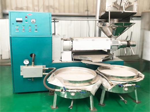 vente chaude nouveau prix des machines de moulin à huile de tung conçu en guinée