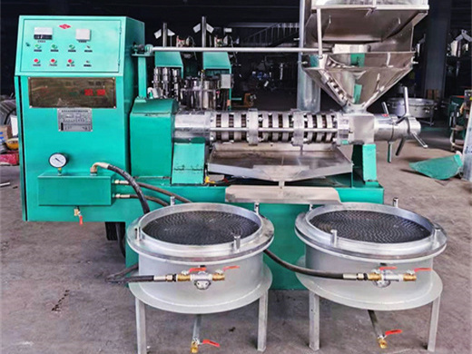 meilleure machine de presse de graines d'huile de ricin de prix usine en malaisie