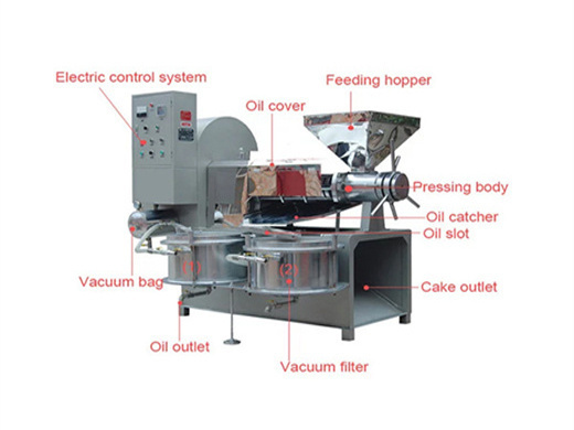Machine de fabrication de presse à huile de graines à froid aux comores