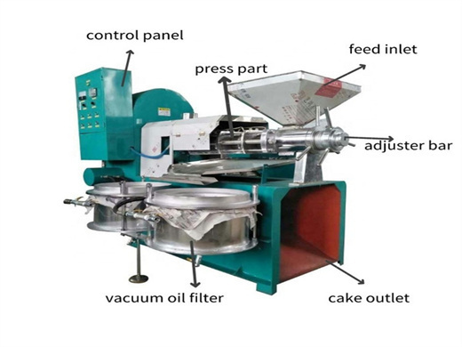 Machine de fabrication d'huile végétale/presse à huile automatique en malaisie