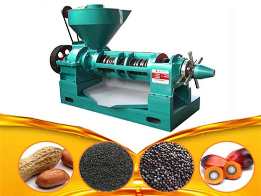 Machine d'extraction d'huile de noix de coco de 50 à 200 tpj aux comores