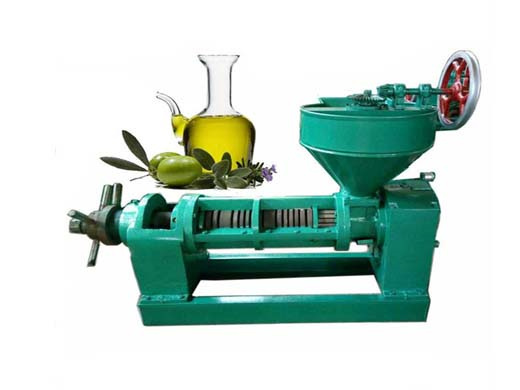 Machine de presse à huile de graines de tournesol à prix usine en indonésie