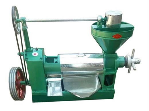 Machine de traitement d'huile d'arachide presse à huile à vis à vendre