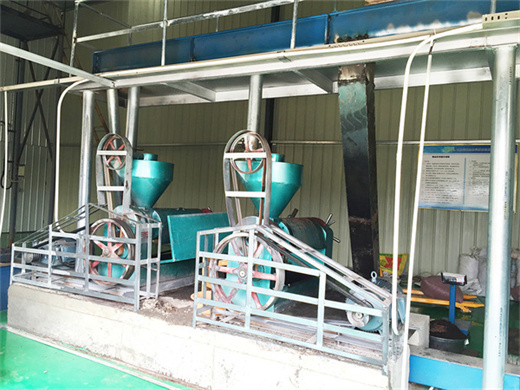 Machine de presse à huile hydraulique d'amande de noix de tung d'olive de sésame