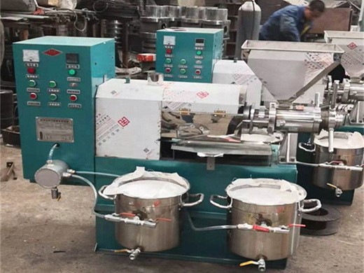 machine d'extraction presse à huile de graines de sésame en indonésie