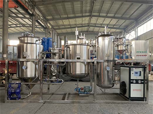 équipement de production de raffinerie d'huile d'embryon de palmier aux comores