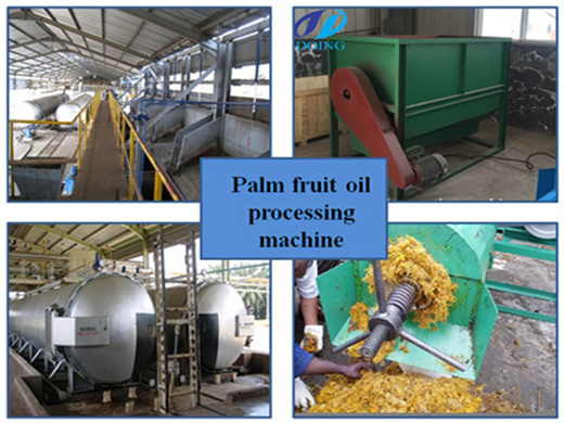 ligne complète de production d'huile de palme avec ss304 au gabon