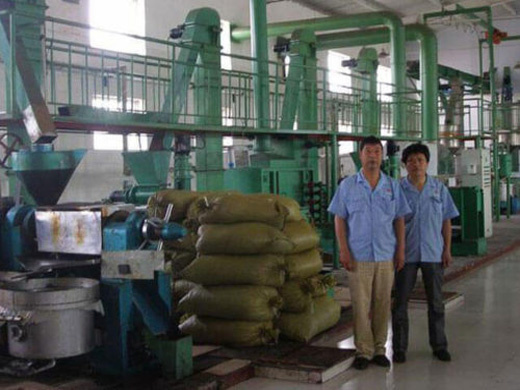 Machine d'extraction d'huile de palmiste 20tpd yzyx168 aux comores