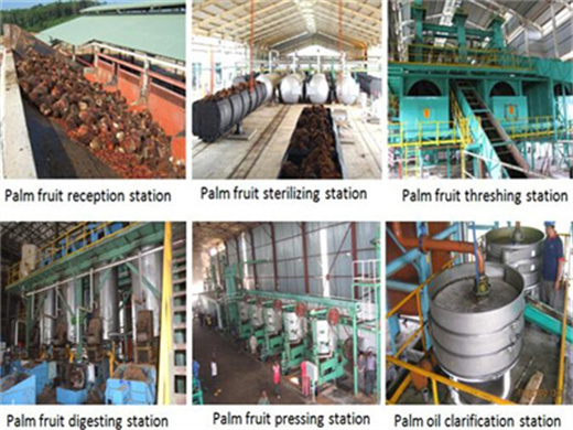 machine d'extraction d'huile de palmiste bv certification ce en france