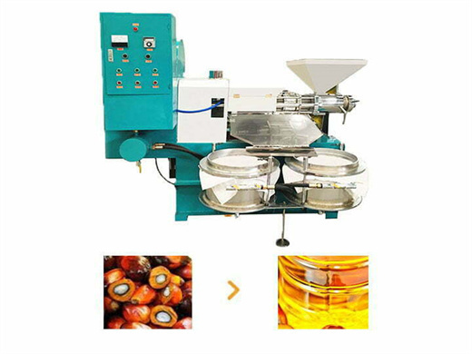 machine d'extraction d'huile de palmiste de bonne qualité à vendre au niger