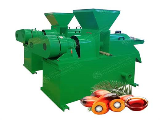 moulin à huile de palme automatique presse à filtre à huile de palme pressée en malaisie
