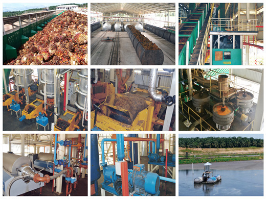 prix de la machine de fabrication d'huile de palme industrielle en malaisie