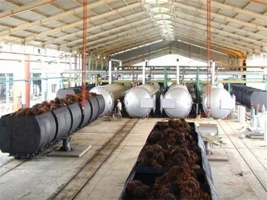 production d'huile végétale de palmiste en malaisie