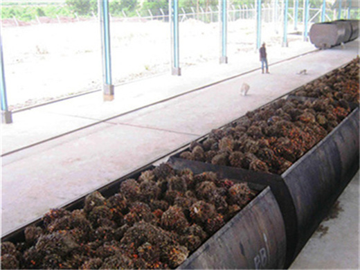 huile de palme maison : méthode de pressage à froid. en Malaisie