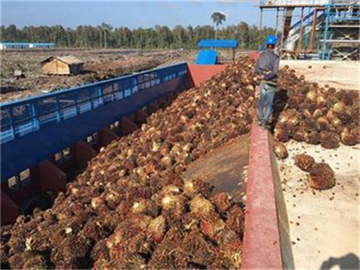 Presse à huile de palme de tournesol d'arachide à usage commercial multifonctionnel