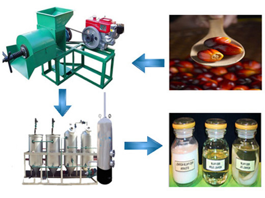 solutions pour la production d'huile de palme aux comores